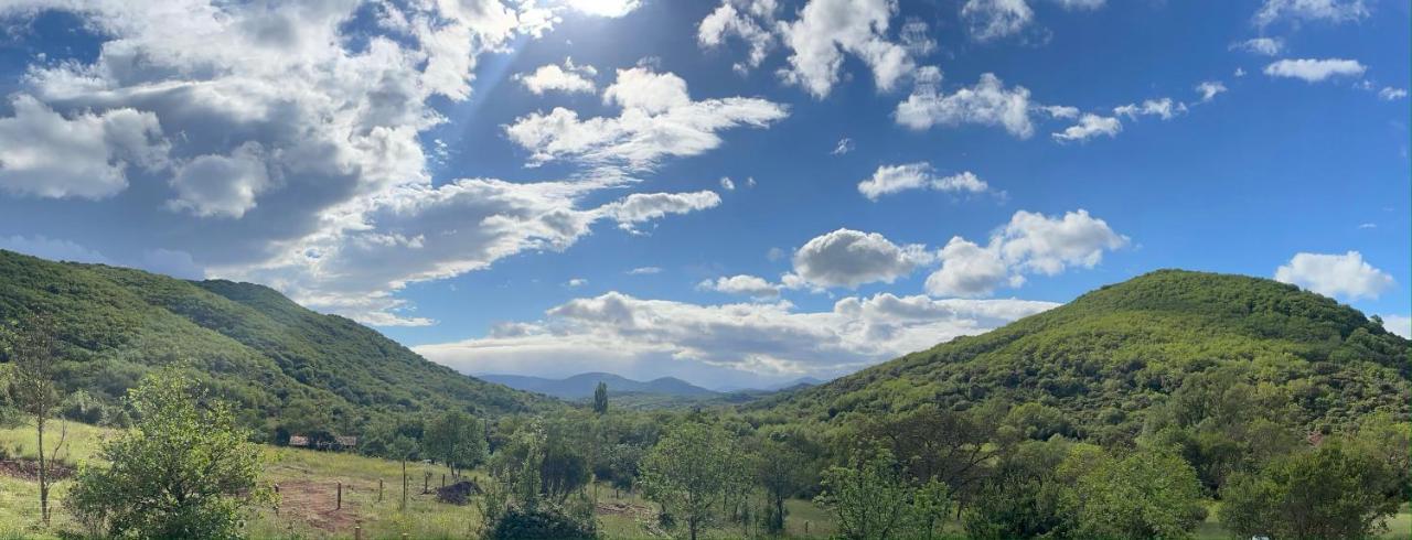 Domaine De Montbarri Bed & Breakfast La Tour-sur-Orb Bagian luar foto