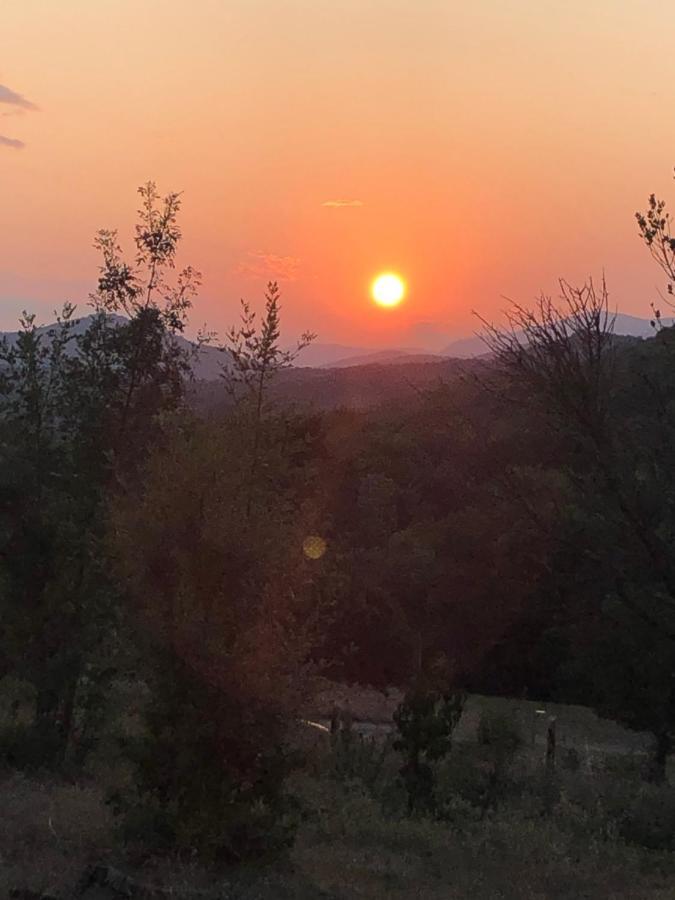 Domaine De Montbarri Bed & Breakfast La Tour-sur-Orb Bagian luar foto