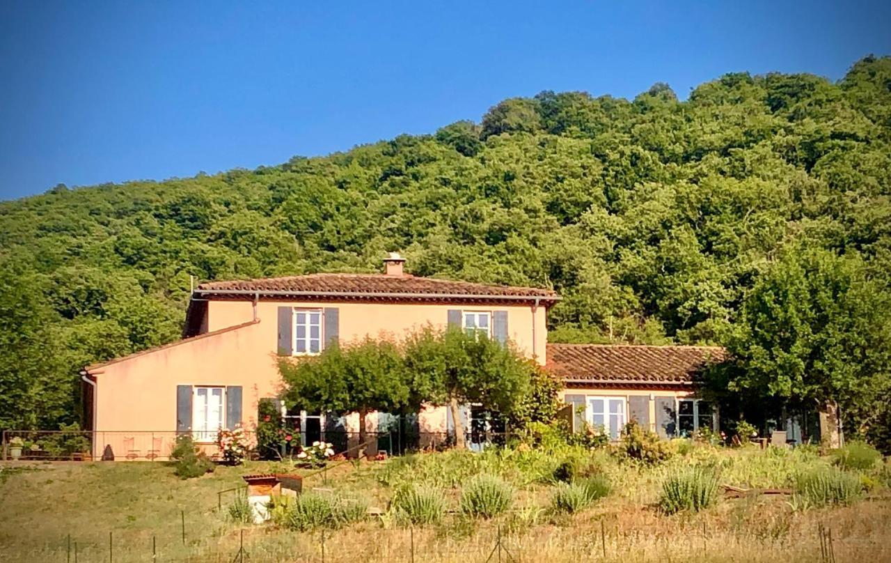 Domaine De Montbarri Bed & Breakfast La Tour-sur-Orb Bagian luar foto